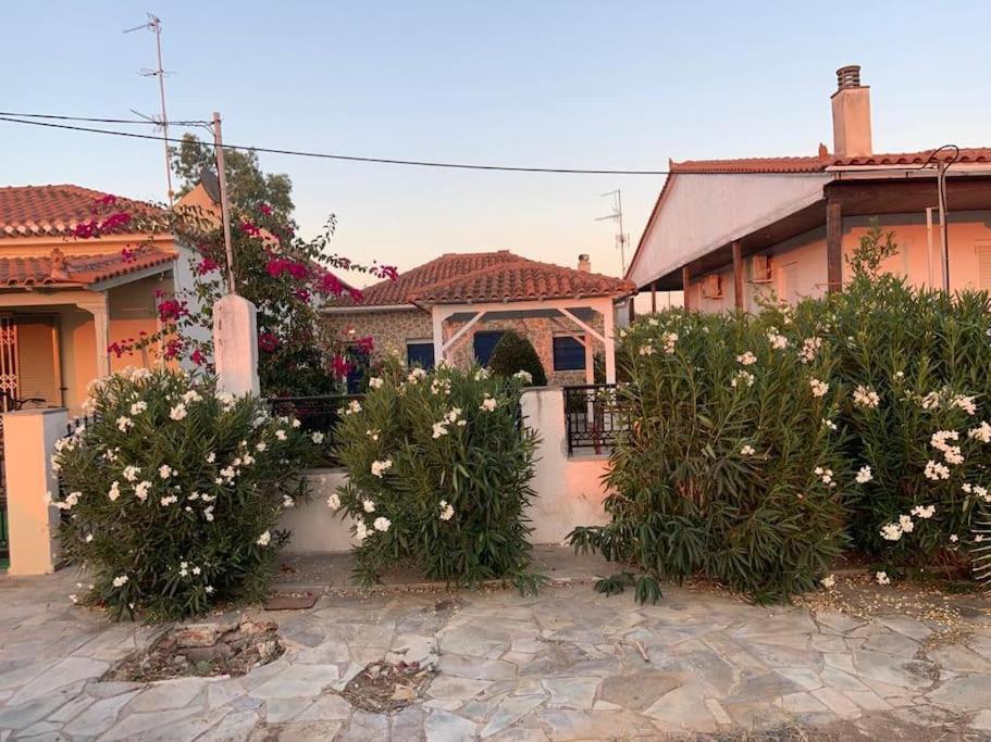 Familienfreundliches Fischerhaus am Strand Porto Heli Exterior foto